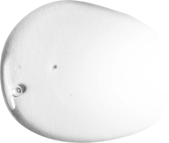 Morphoshapes 4