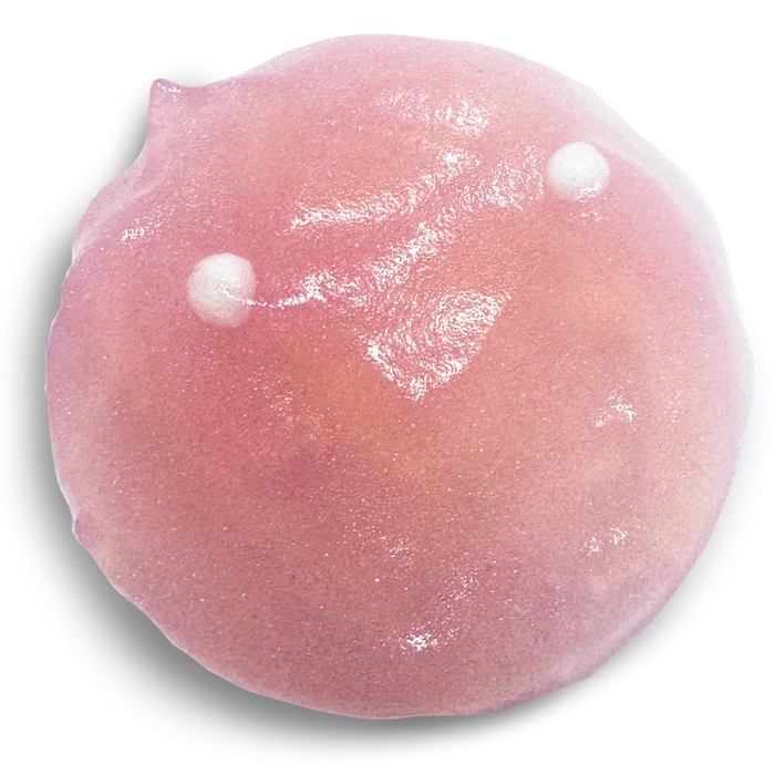 HydroPolitan